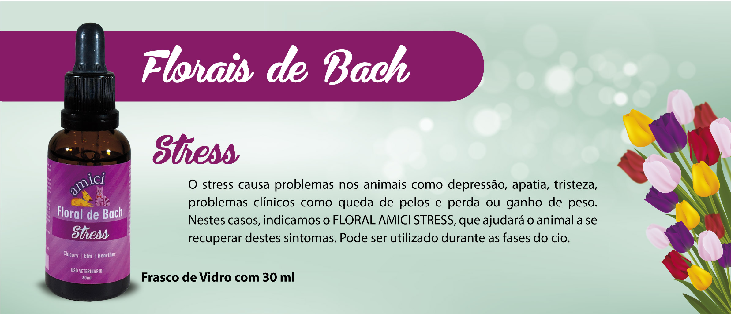 Cuidados específicos-07.jpg