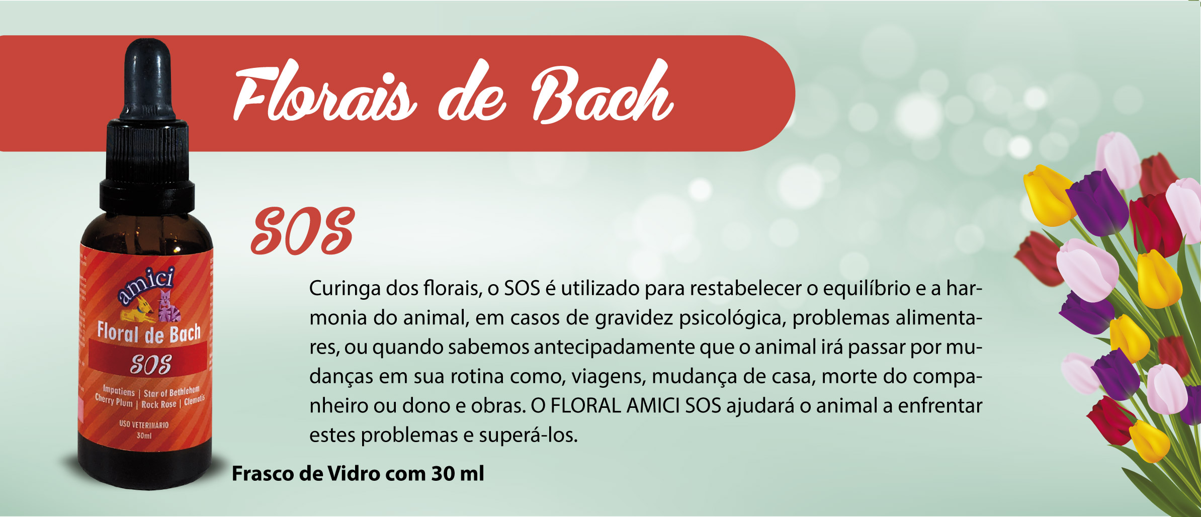 Cuidados específicos-08.jpg